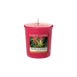 YANKEE CANDLE ŚWIECZKA DO ŚWIECZNIKA TROPICAL JUNGLE